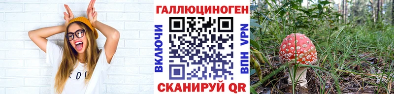 Псилоцибиновые грибы мицелий  blacksprut вход  Райчихинск 